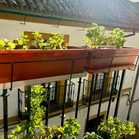 Apartment La Buganvilla De Santiago